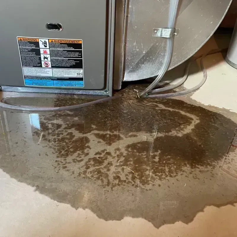 Appliance Leak Cleanup in Osseo, WI